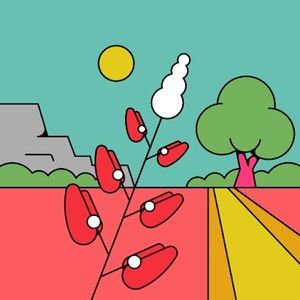 Meet your Posher, Molly